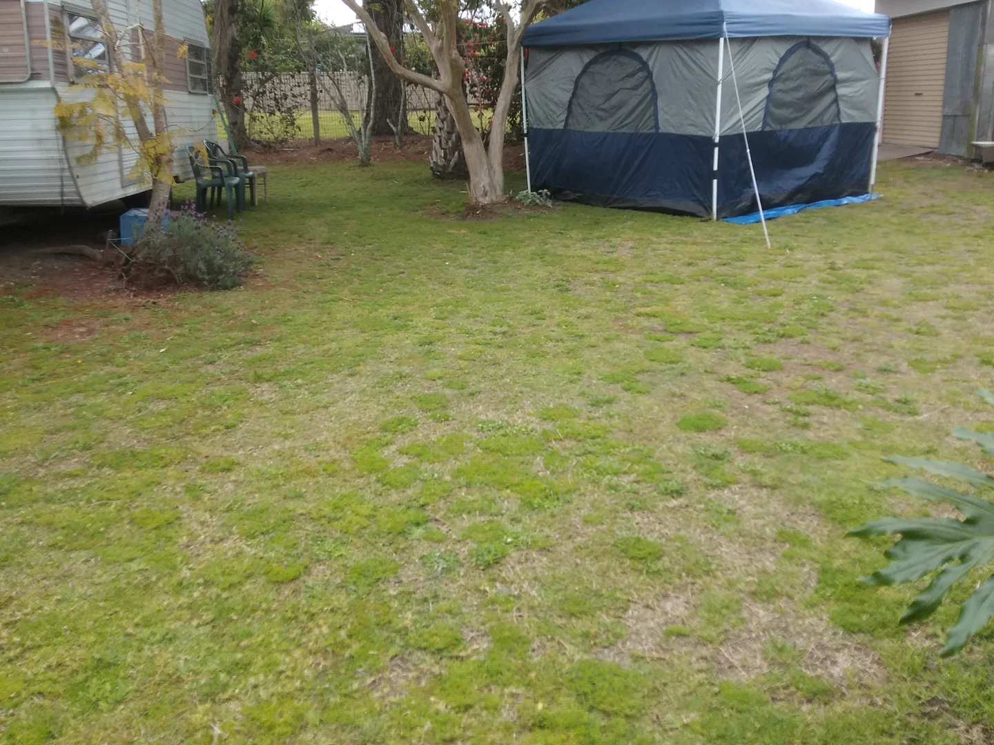 Image 13
