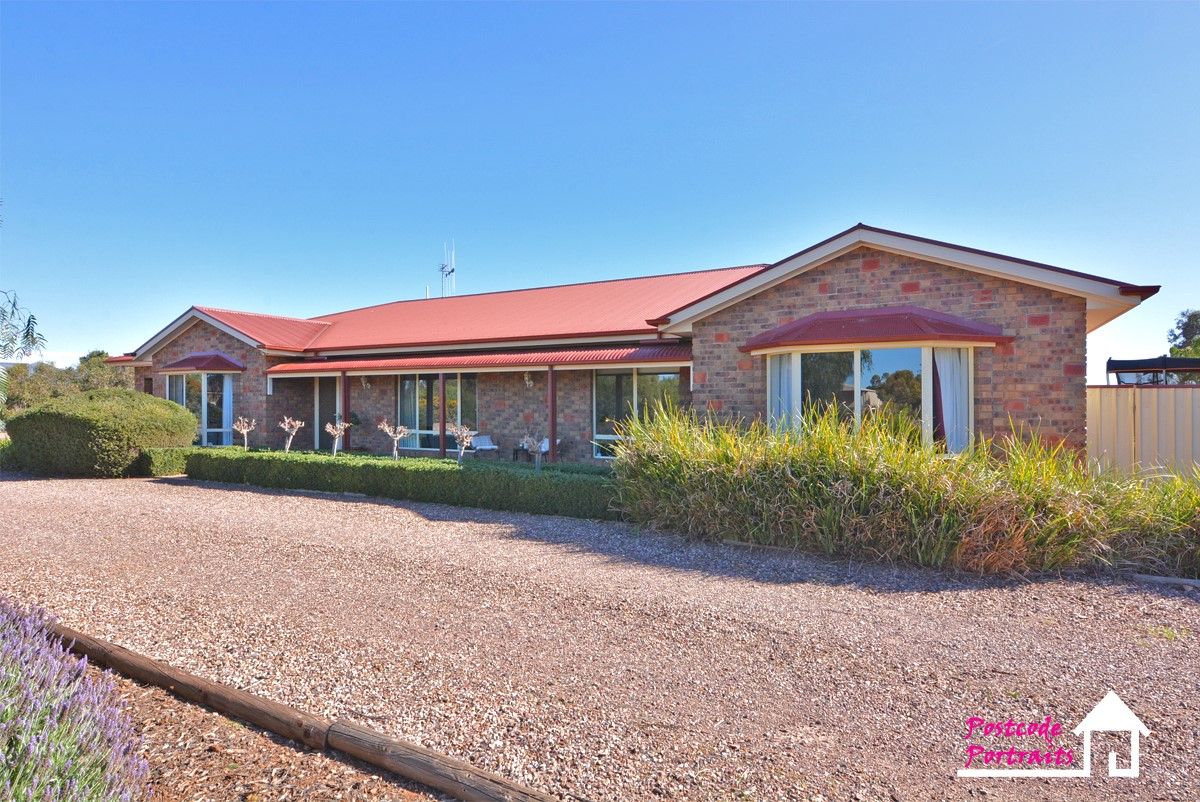 11 Coolibah Court, Whyalla Jenkins SA 5609, Image 0