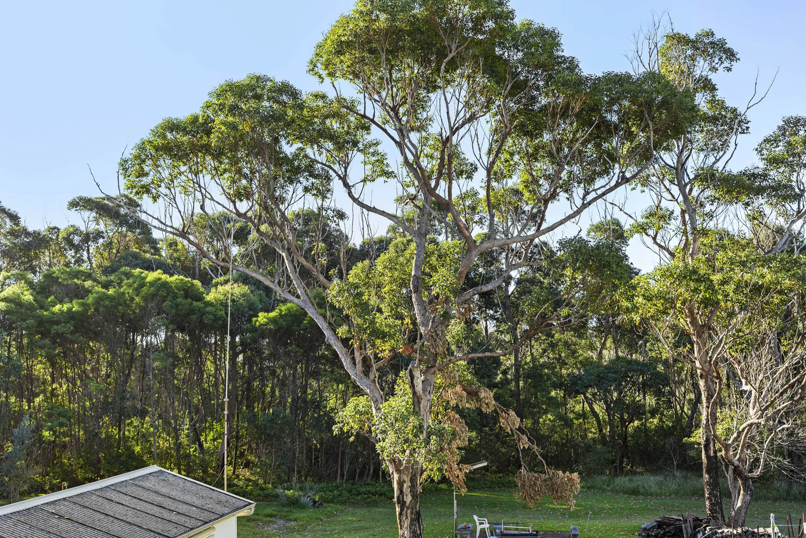 Image 15