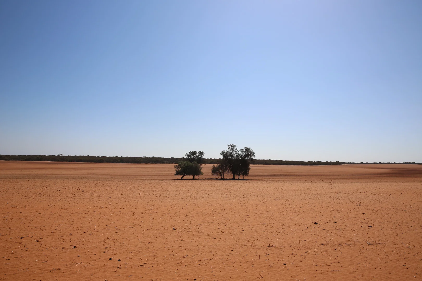 Image 19