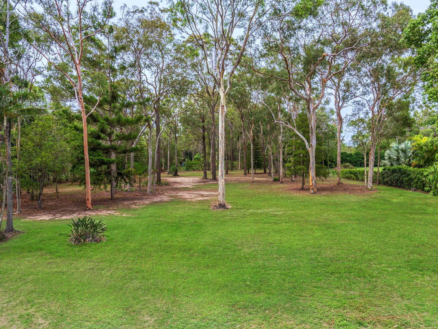 775 London Road, Chandler QLD 4155, Image 1