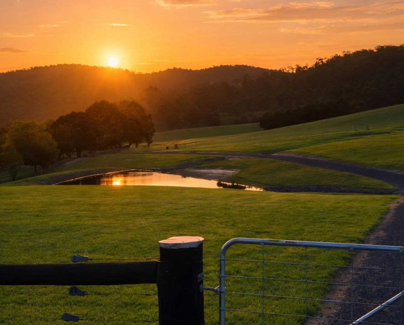 54 Hilsley Court, Toongabbie VIC 3856