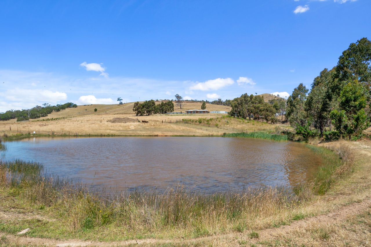 1356 Tea Tree Road, Campania TAS 7026 House for Sale Domain