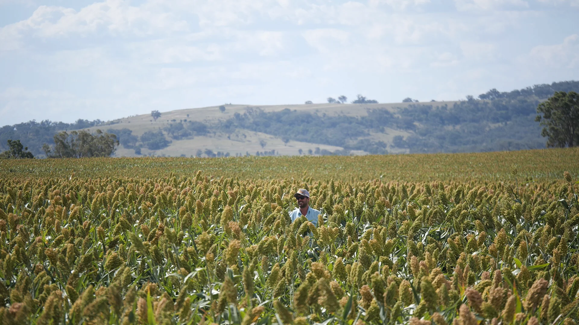 Additional image 21 of "Rivendell" 698 Woodstock Road, Inverell NSW 2360