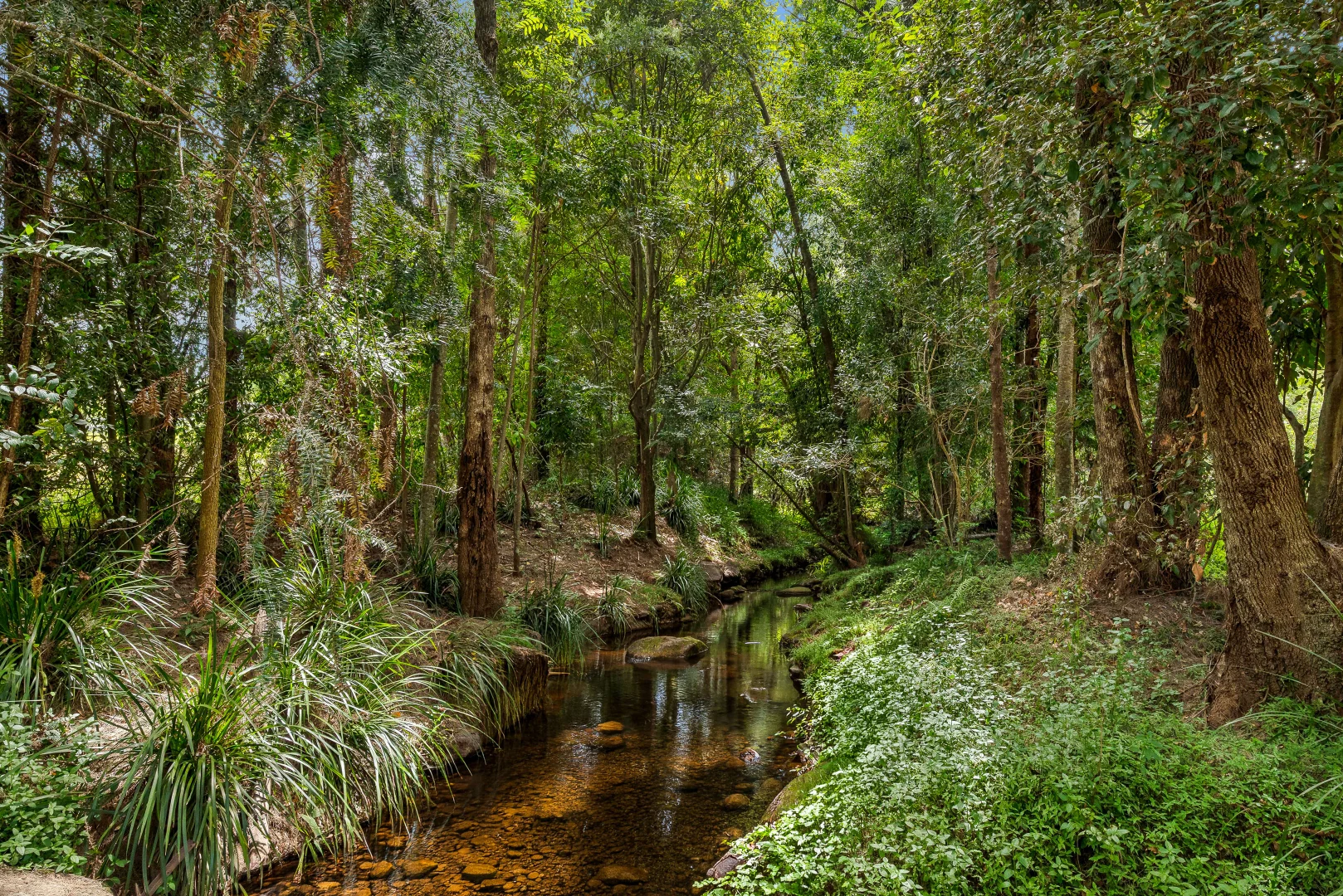Image 23