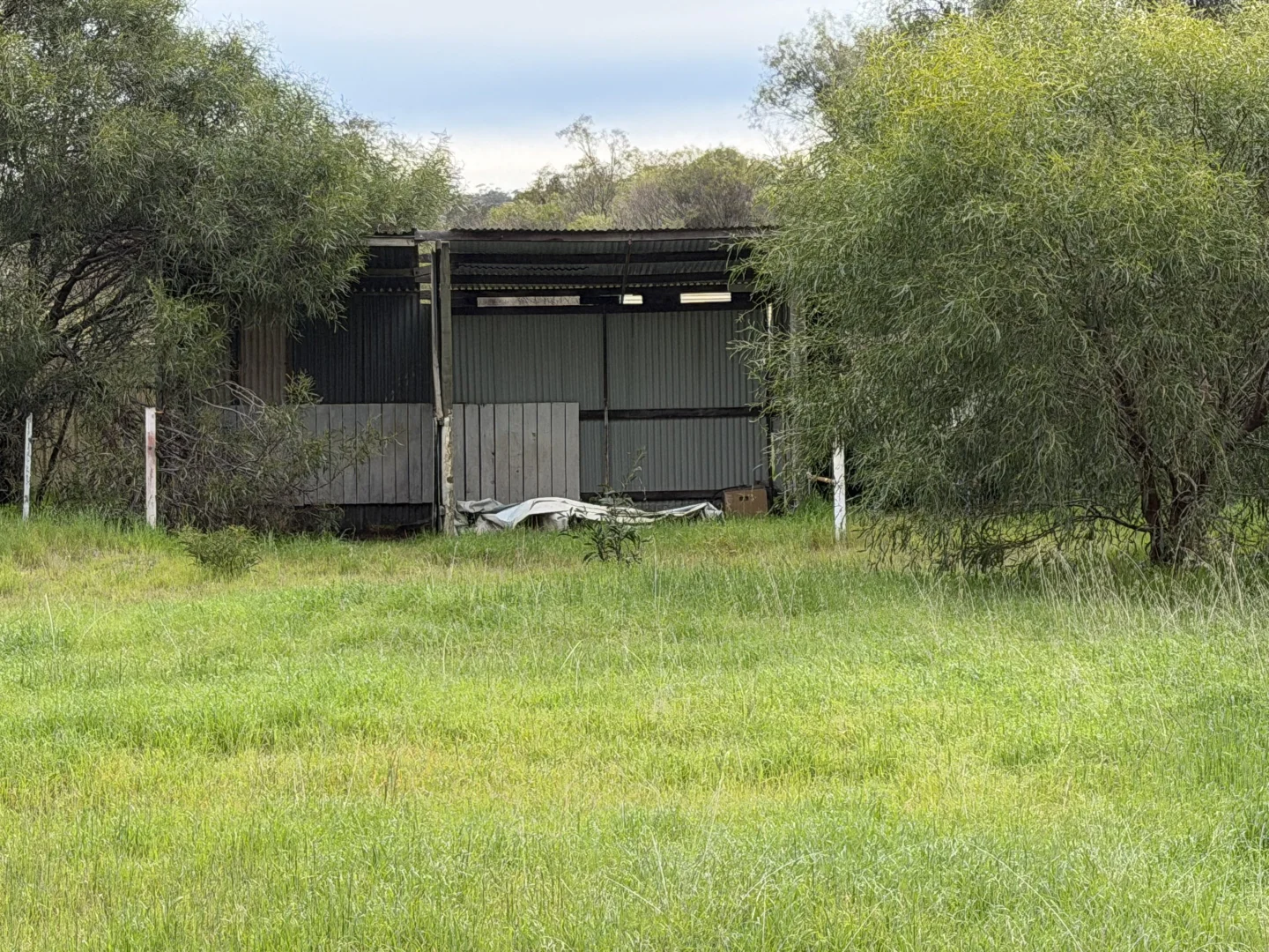 Image 3