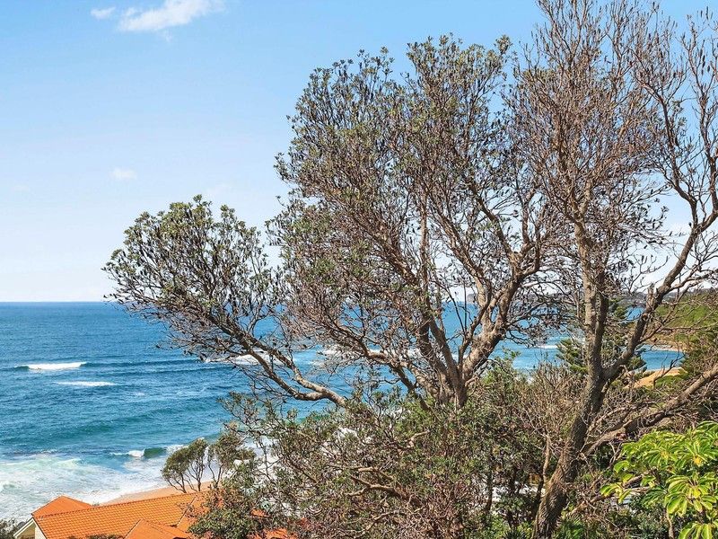 60 Forresters Beach Road, FORRESTERS BEACH NSW 2260, Image 2