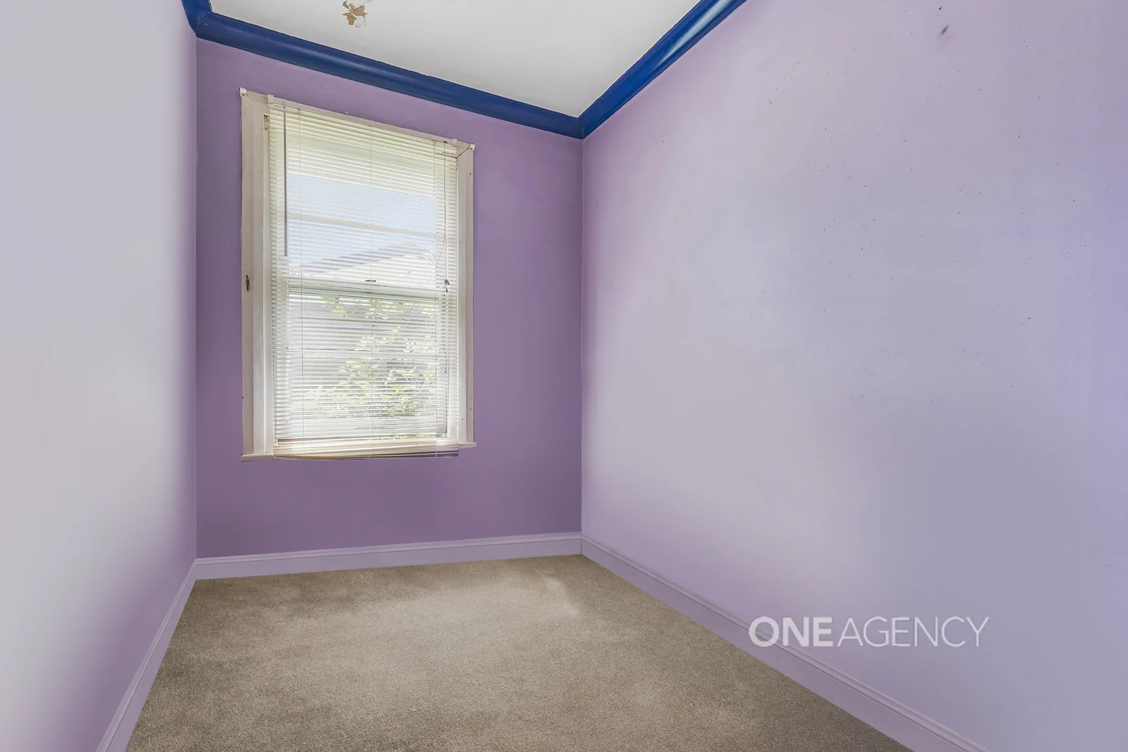 Additional image 12 of 117 High Street, Wauchope NSW 2446