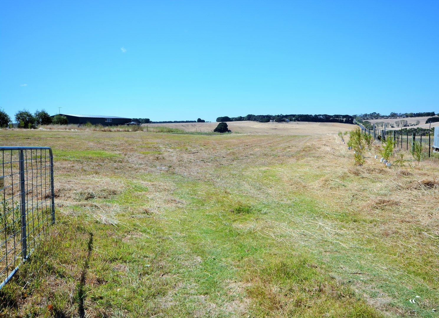 Lot 7 Crothers Lane, Grassmere VIC 3281, Image 1