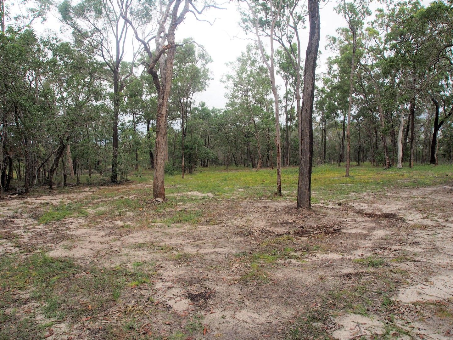 Lot 4 ADIES ROAD, Isis Central QLD 4660, Image 0