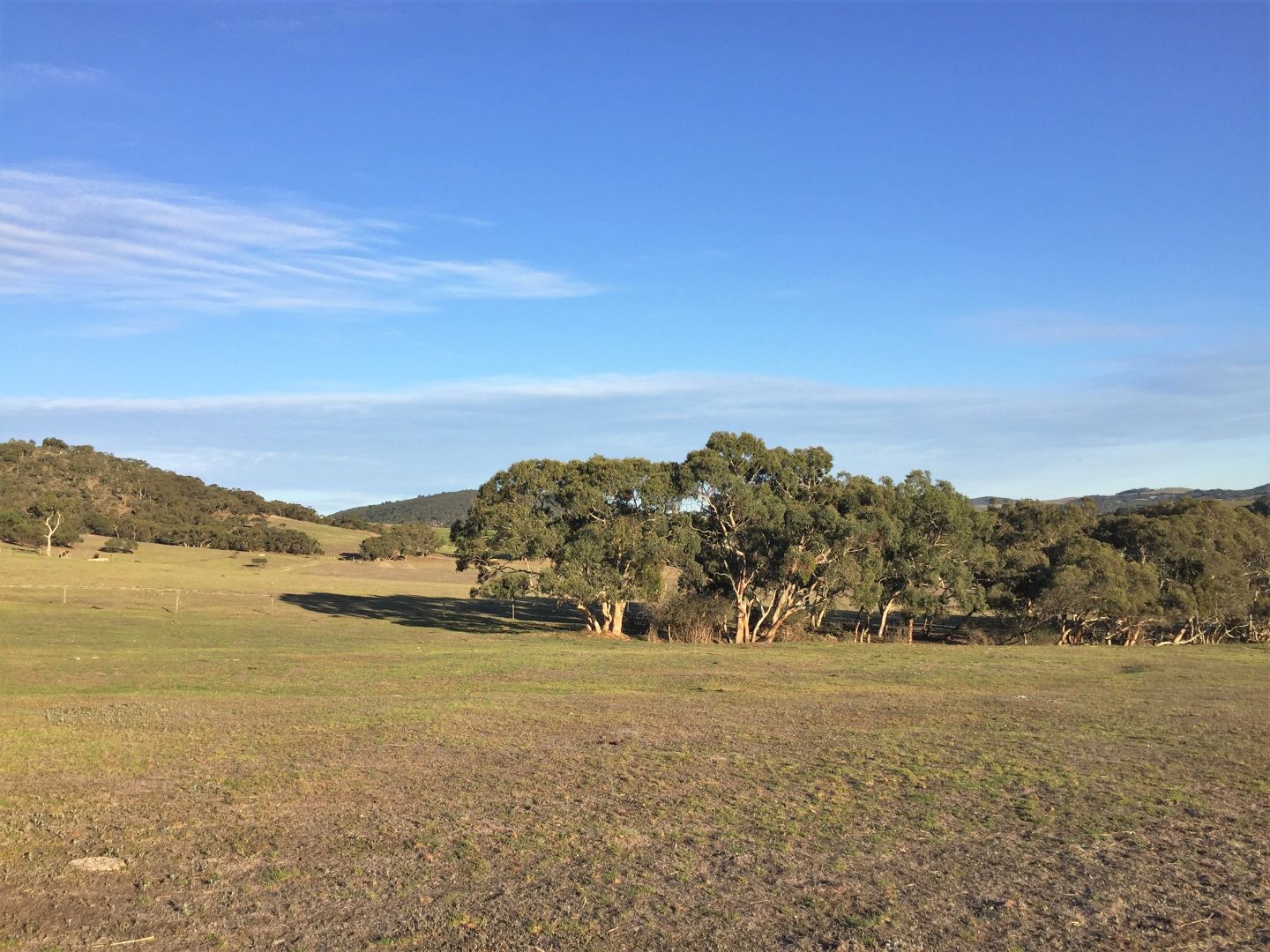 Lot 14 Cleland Gully Road, Tooperang SA 5255, Image 1