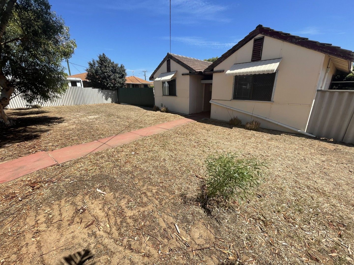 60 Dorothy Street, Geraldton WA 6530 House For Rent Domain