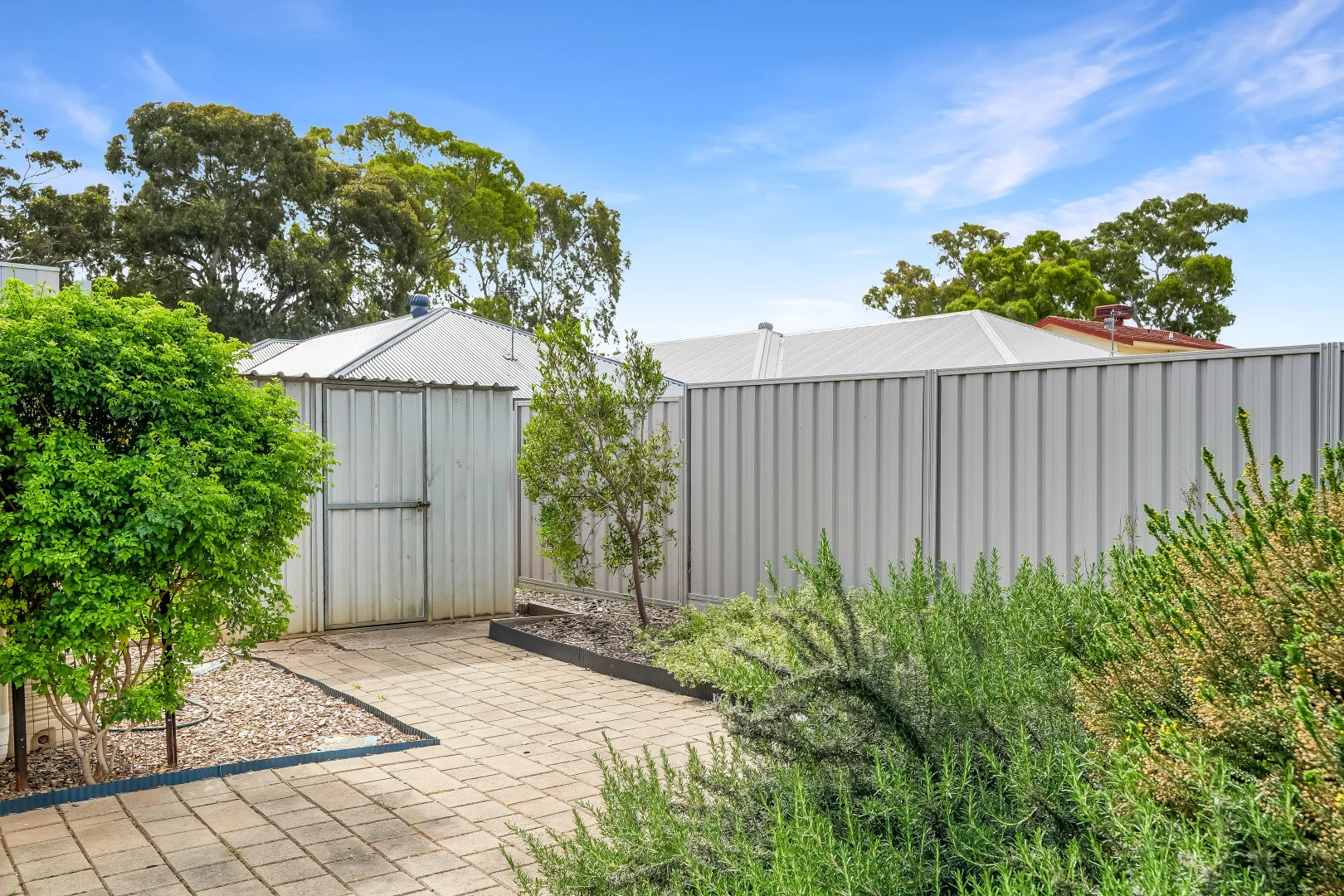3 Wasley Street, Elizabeth Downs SA 5113 | Domain
