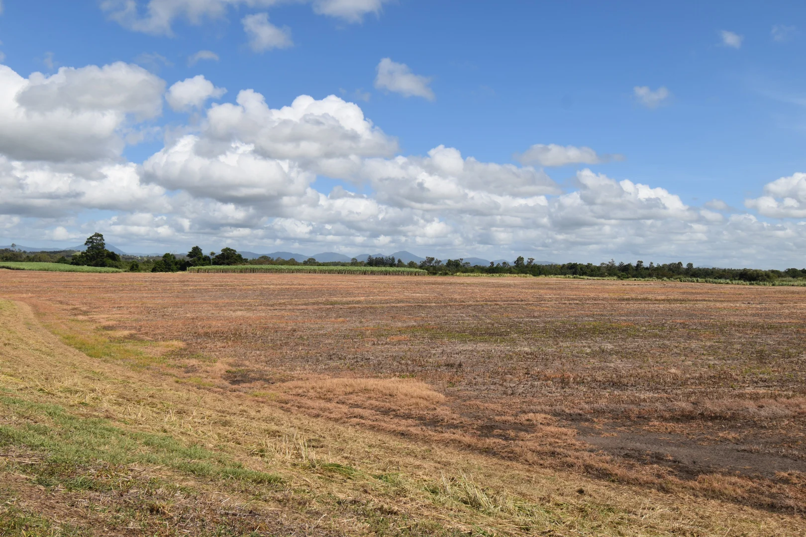 Image 32
