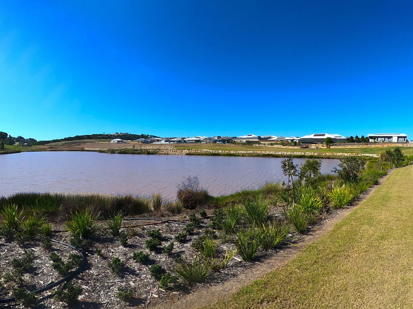 Lot 146 Peppermint Circuit, The Springs, Nikenbah QLD 4655, Image 2