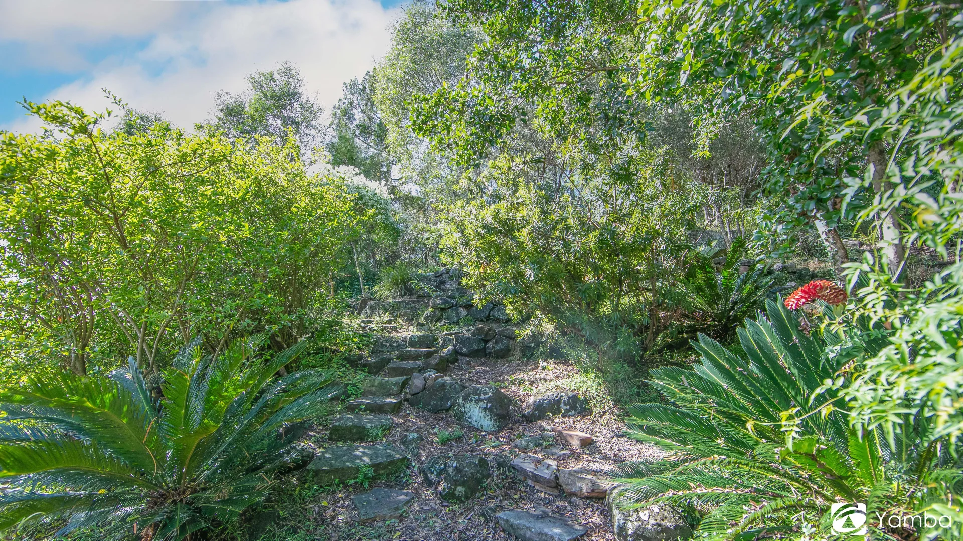 Image 18