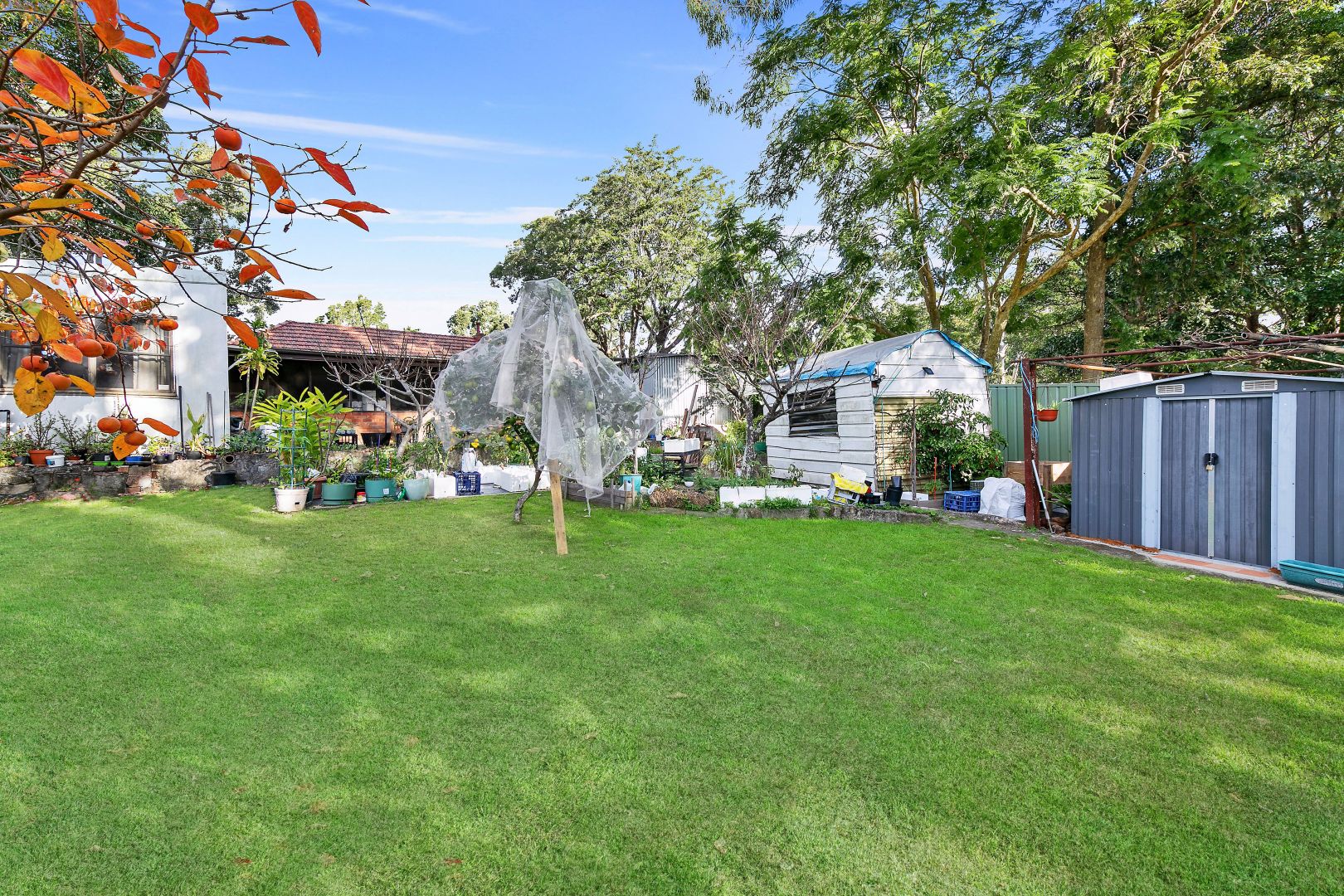 96 Pennant Hills Road, Normanhurst NSW 2076, Image 2