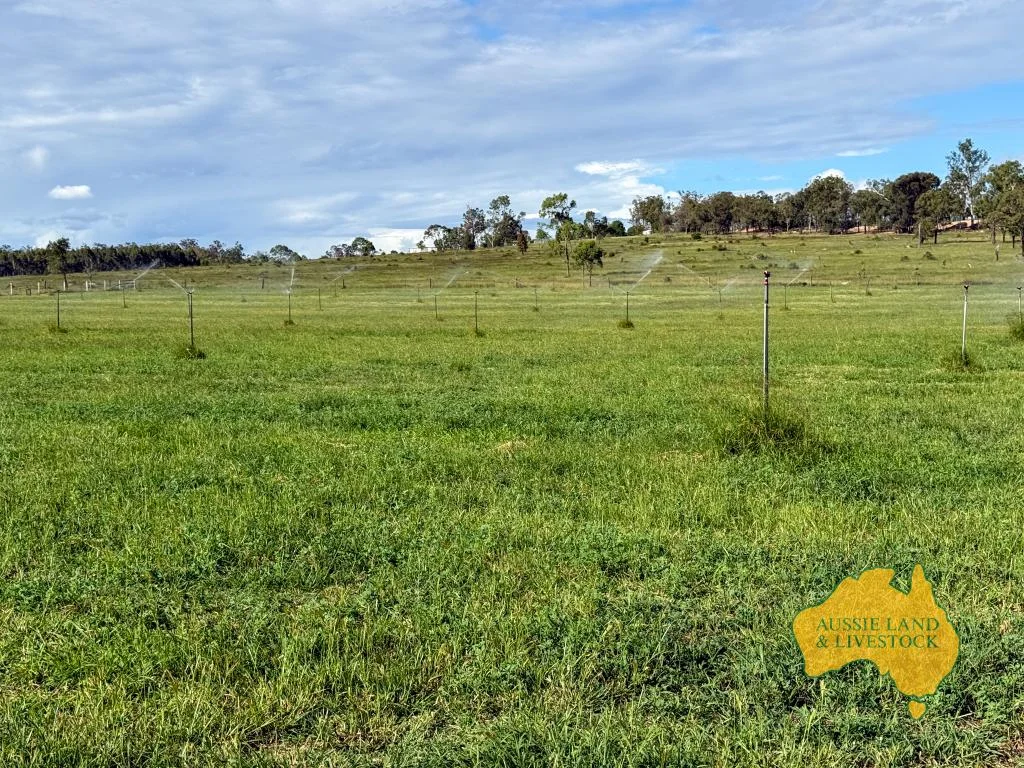 Additional image 5 of 854 MUNDUBBERA-DURONG ROAD, Boynewood QLD 4626