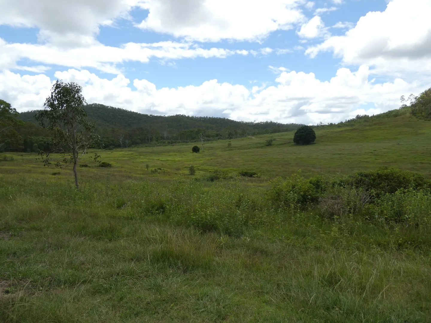 Image 32