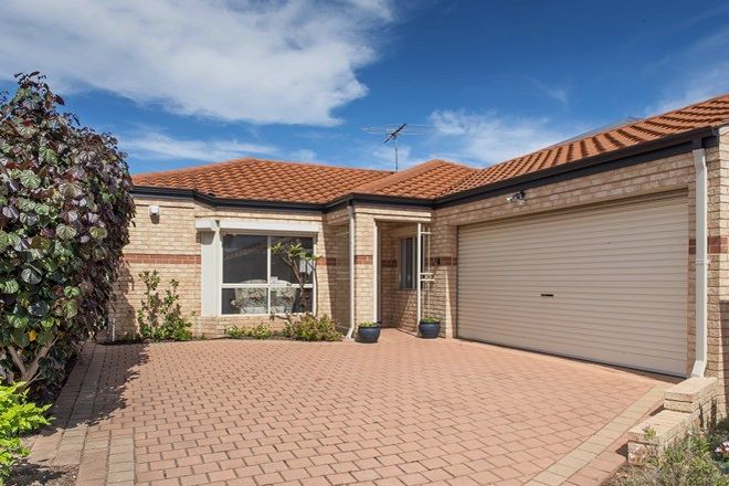 Picture of 176B Gildercliffe Street, SCARBOROUGH WA 6019