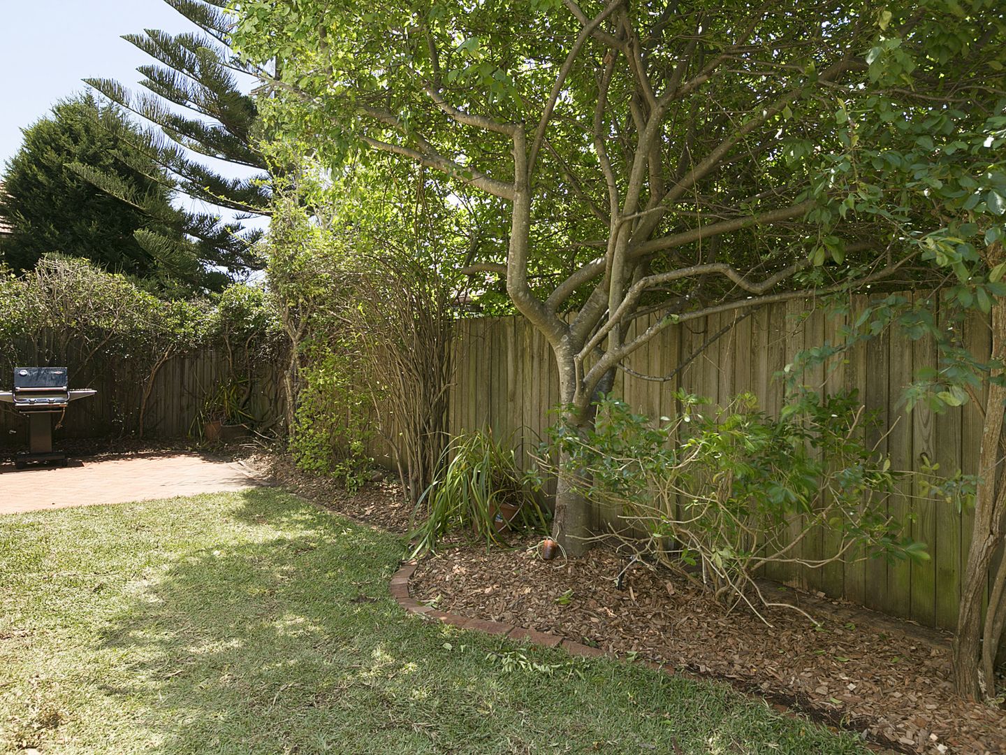 32 Tunks Street, Northbridge NSW 2063, Image 2