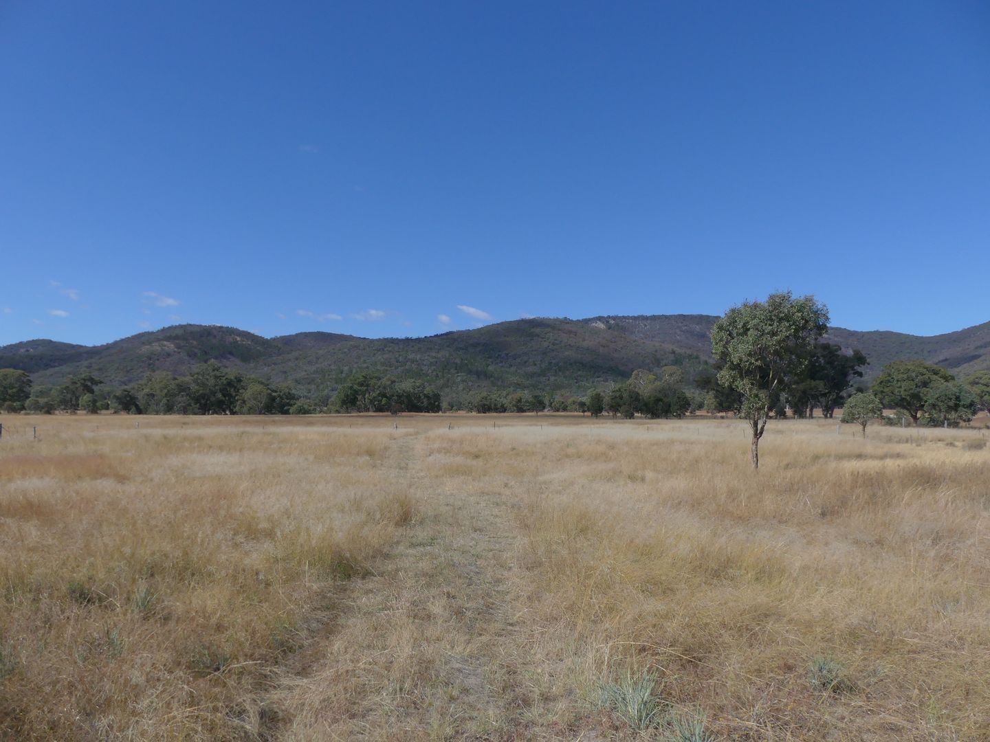 Lot 11 Saxby Road, Ballandean QLD 4382, Image 2