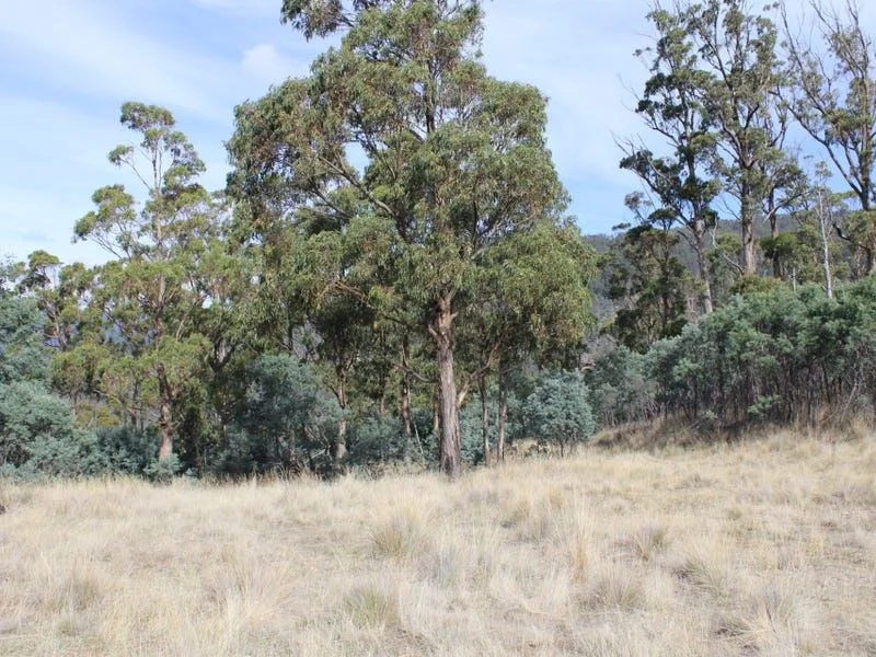 Image 13