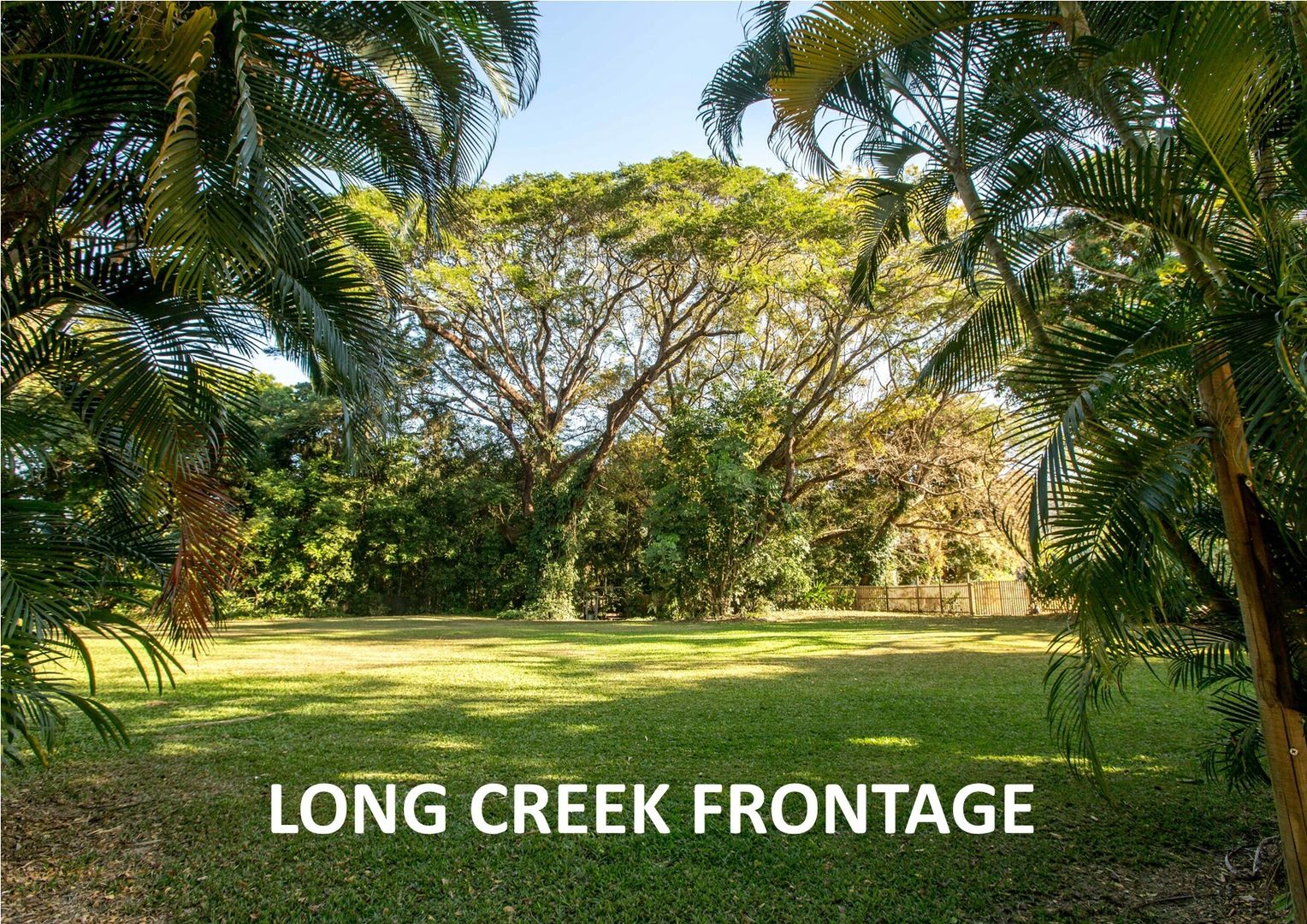 59 Crees Rd, Craiglie QLD 4877, Image 2