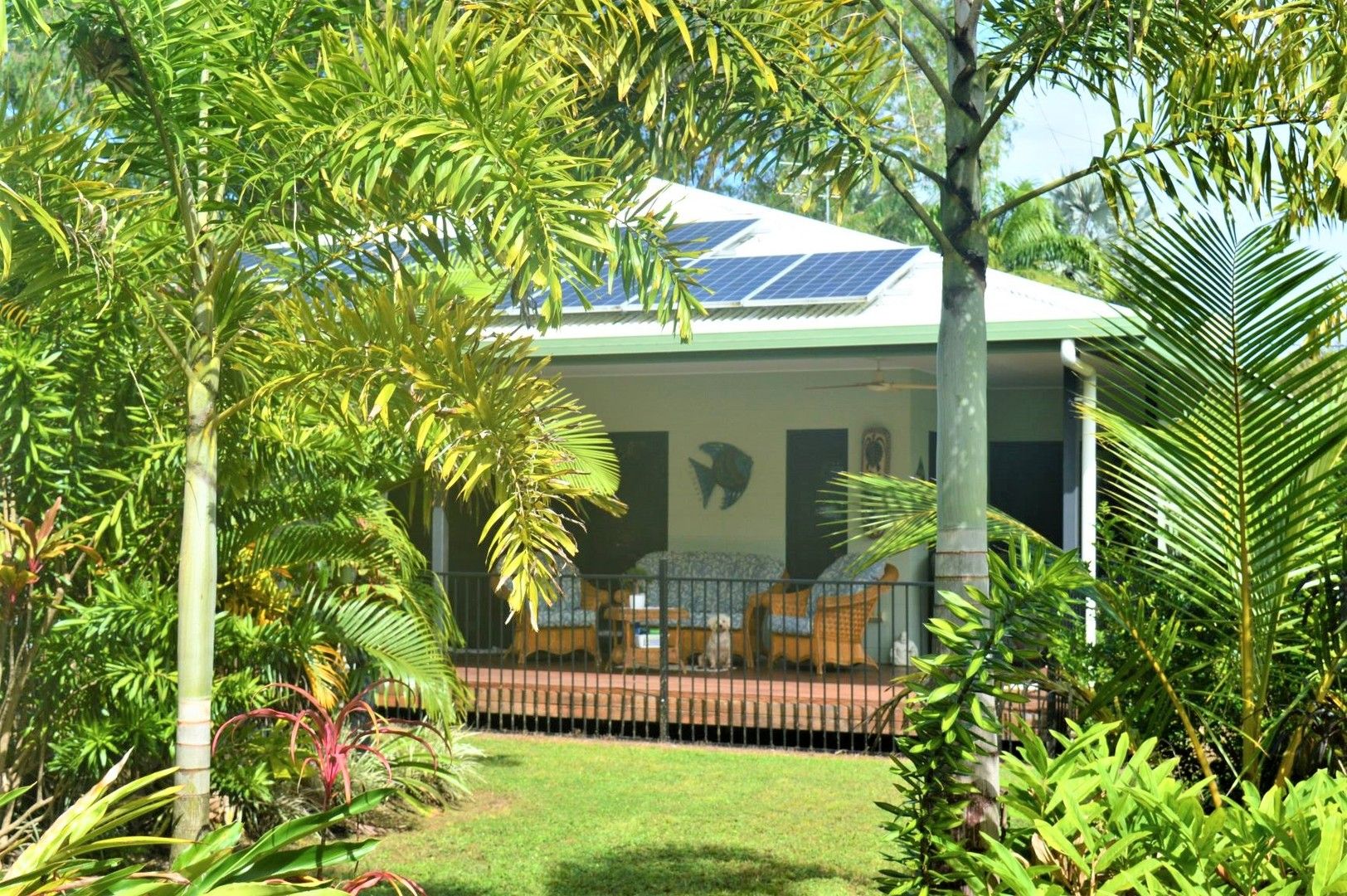 56 PARADISE PALM DRIVE, Tully Heads QLD 4854, Image 0