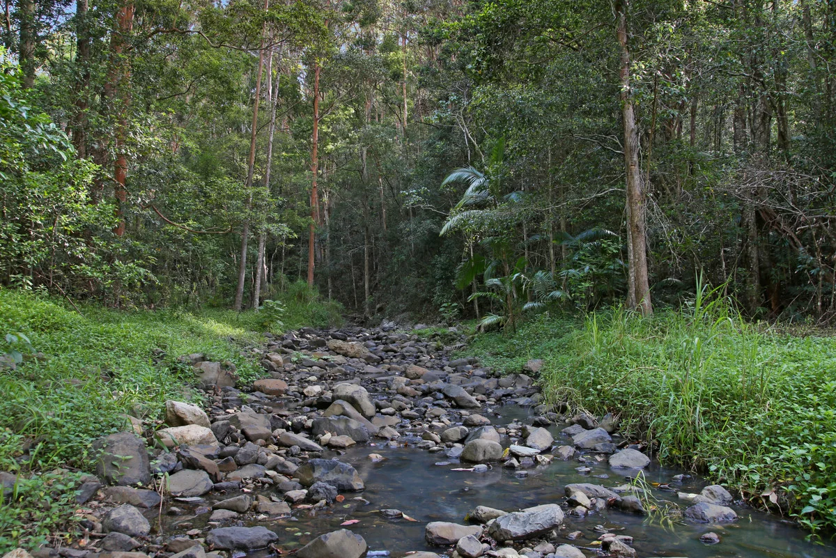 Image 18