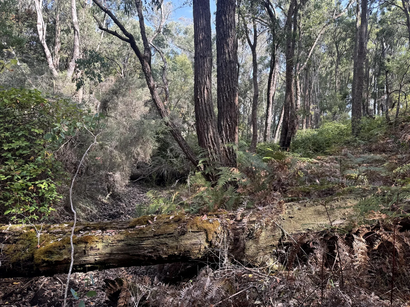 Image 12