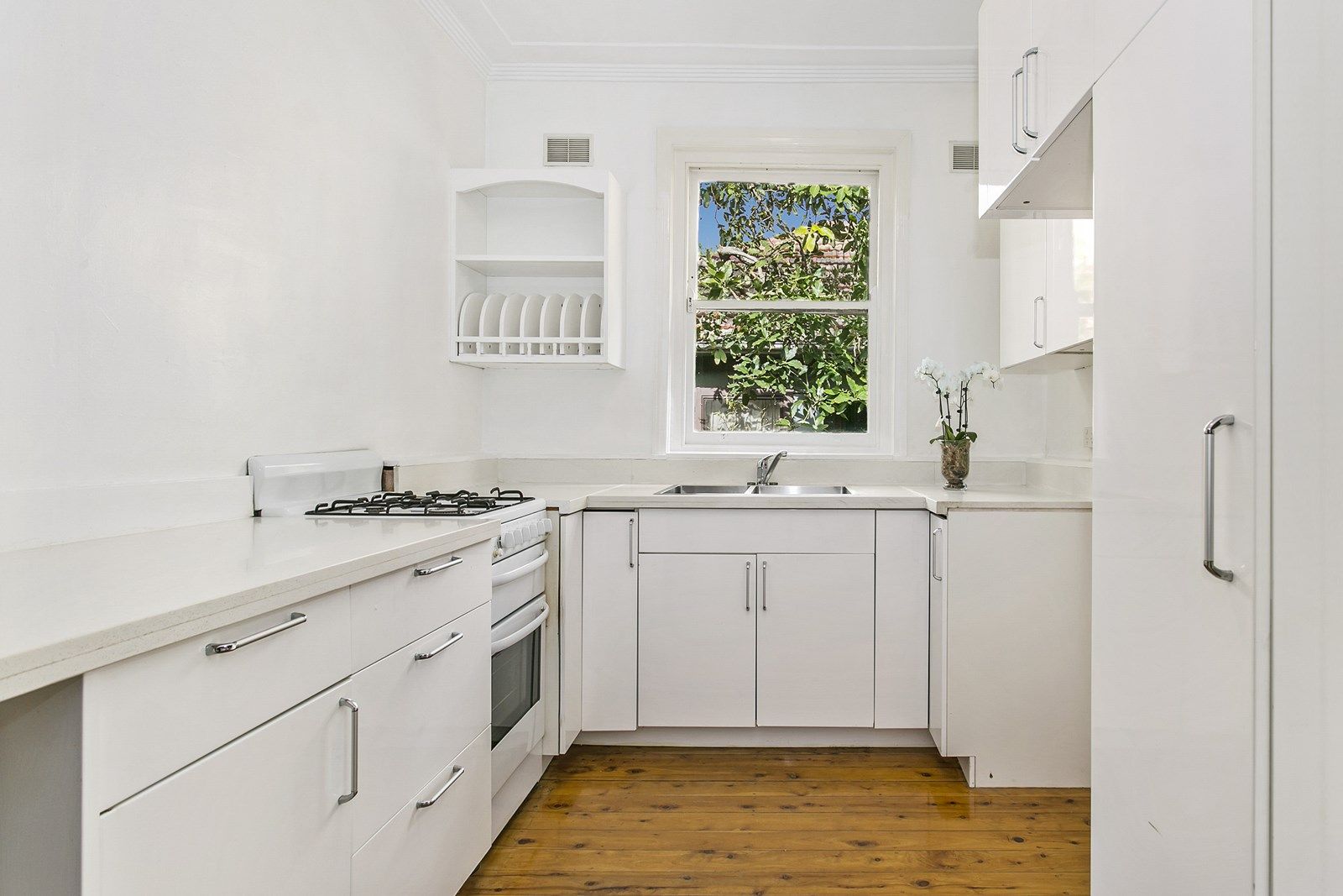 6 Addiscombe Road, Manly Vale NSW 2093, Image 2