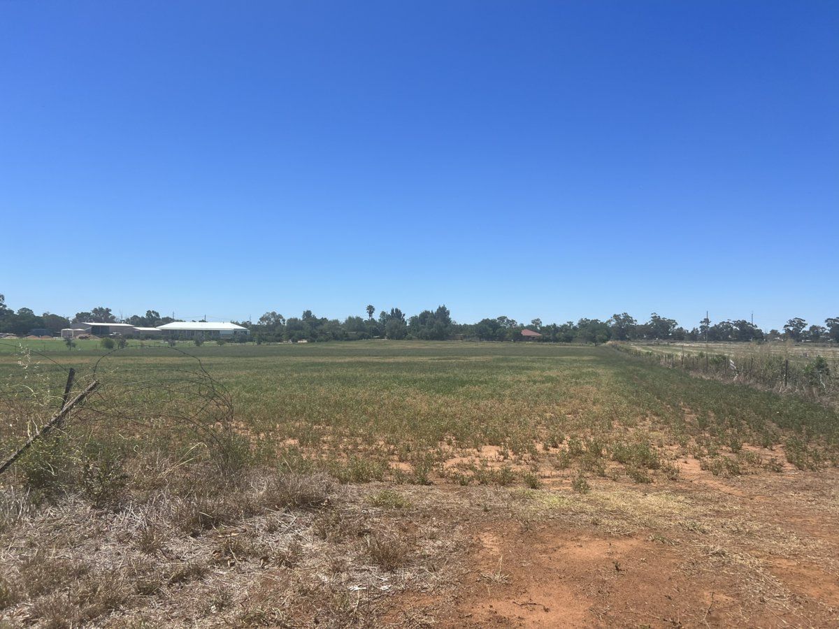 186 Minore Street, Narromine NSW 2821 Vacant Land for Sale 300,000