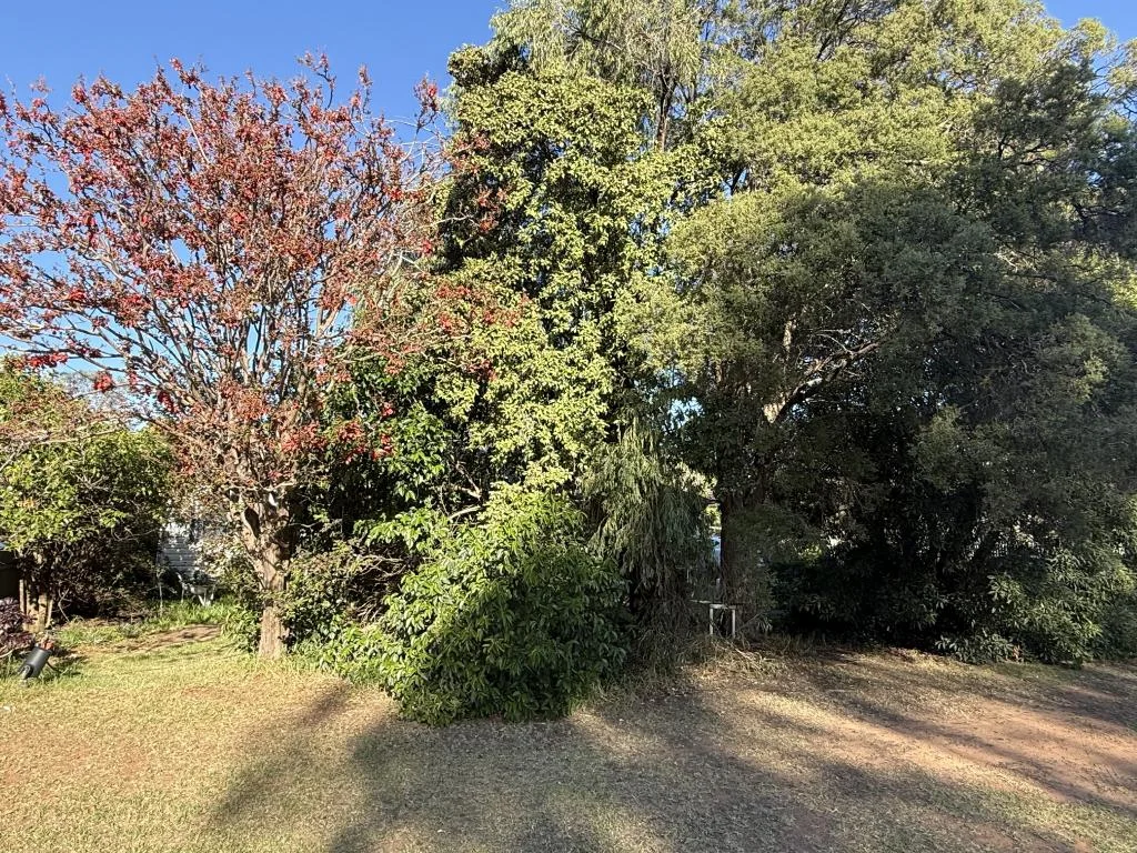 Image 13