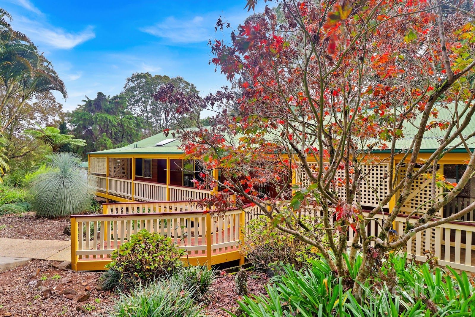 209 Obi Obi Road, Mapleton QLD 4560 Domain