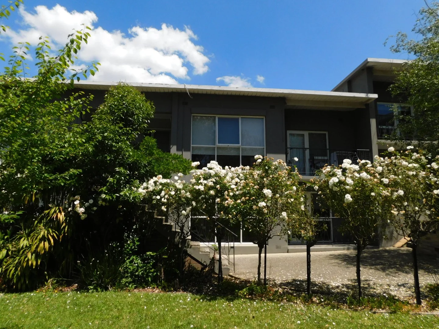 Primary image of 14/45 Rosanna Road, Heidelberg VIC 3084