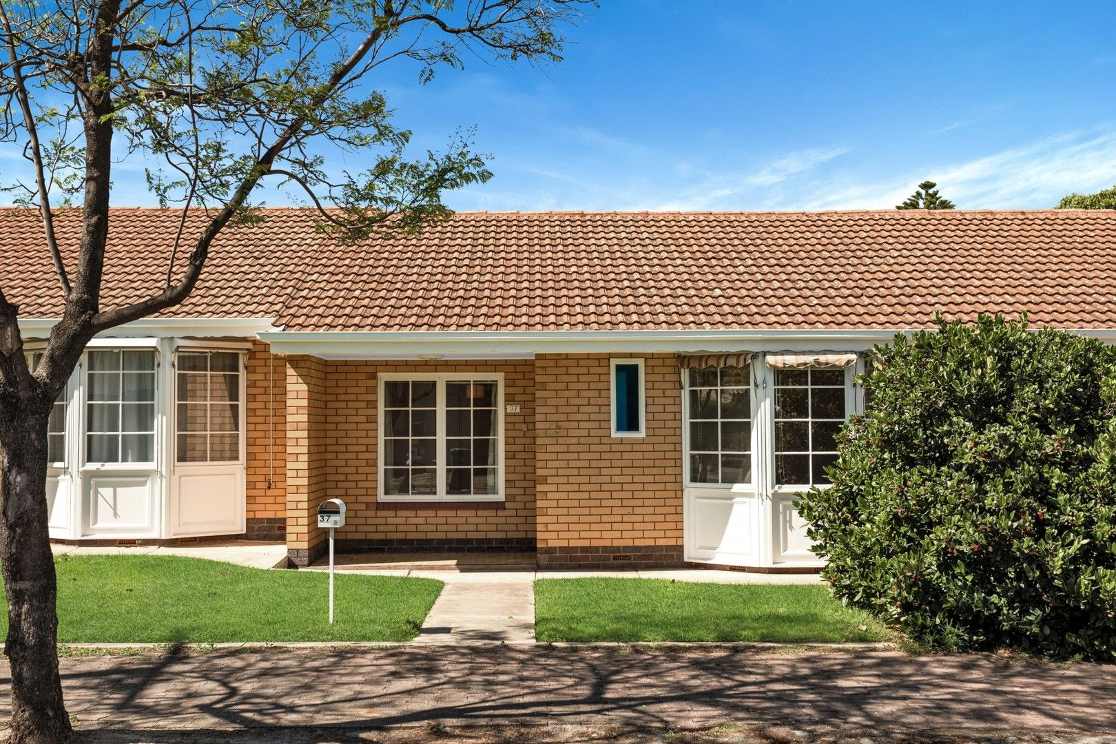 6/37 Lorraine Avenue, Clarence Park SA 5034 Apartment For Rent Domain