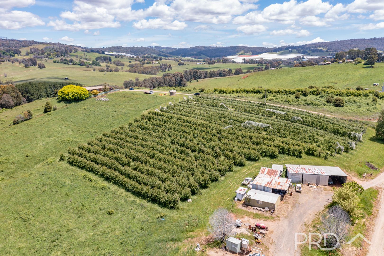 119 Forsters Road, Batlow Property History & Address Research Domain
