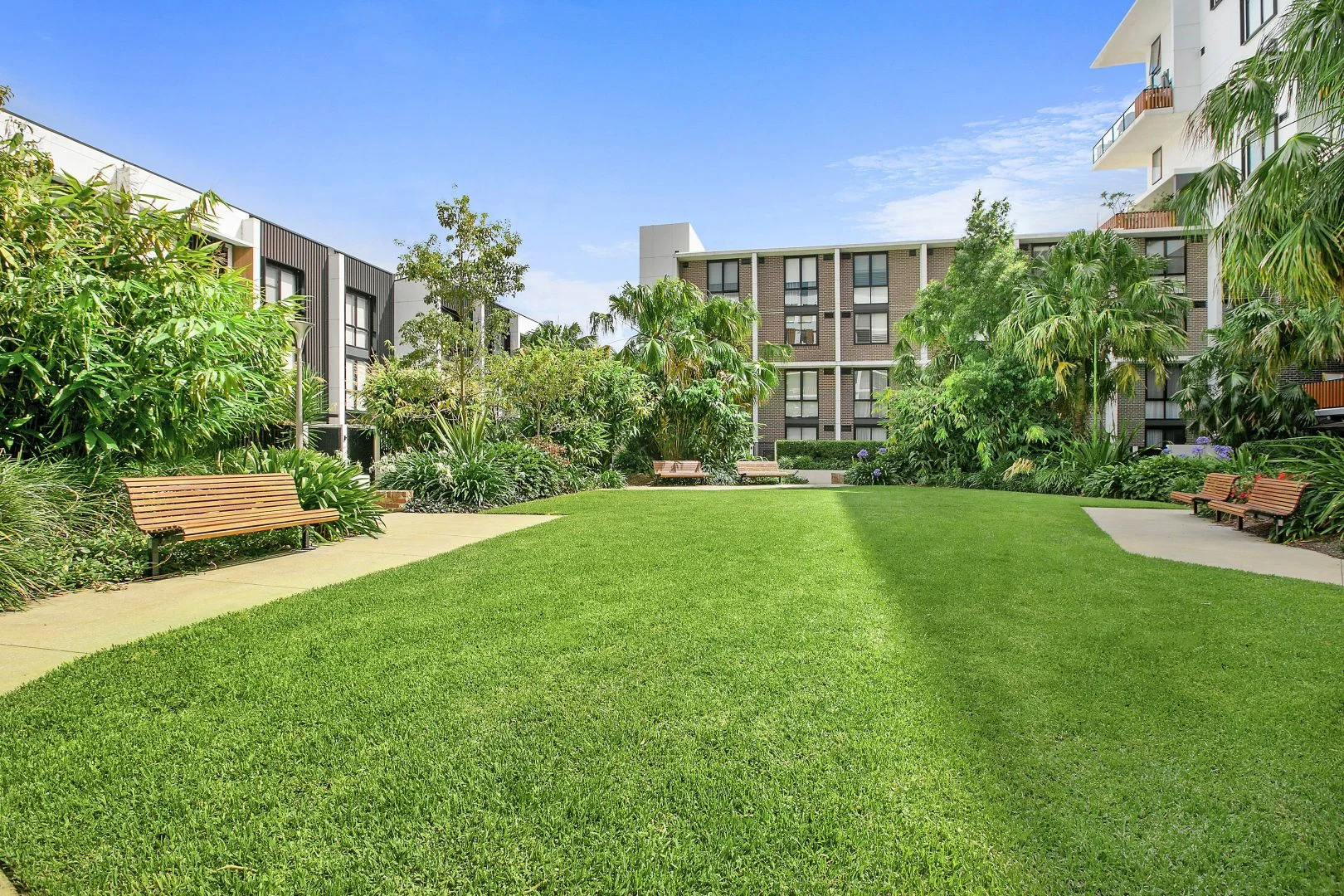 2305/50 Pemberton Street, Botany NSW 2019 | Domain