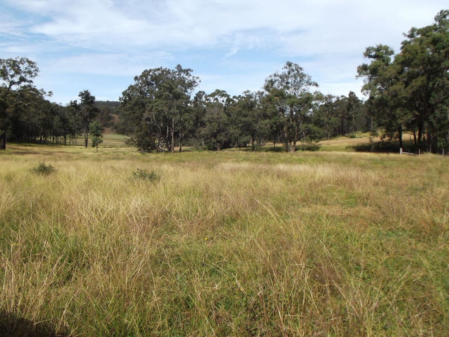 Sandy Hollow NSW 2333 House for Sale 1250000 Domain