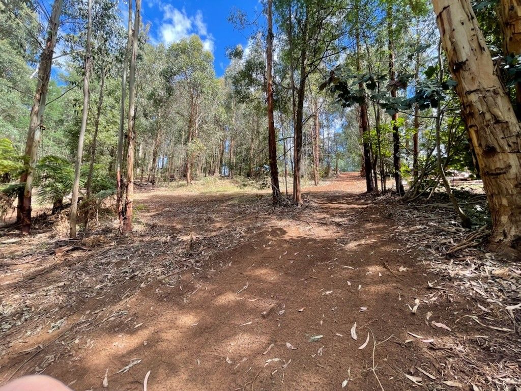 47 Bald Spur Road, Kinglake Central VIC 3757, Image 1