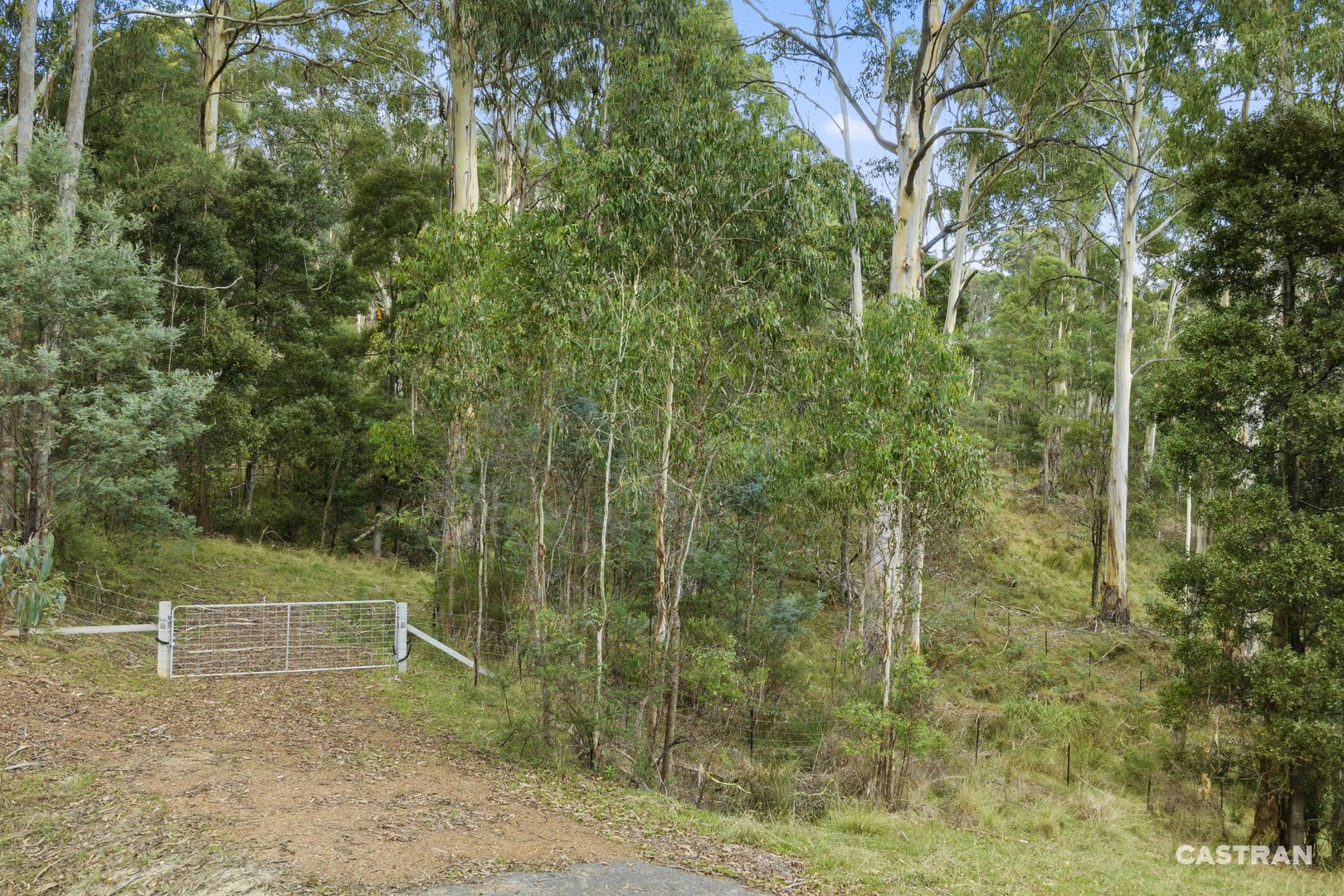 Overflow Road, Sawmill Settlement VIC 3723, Image 2