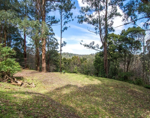 52 Upper Coonara Road, Olinda VIC 3788