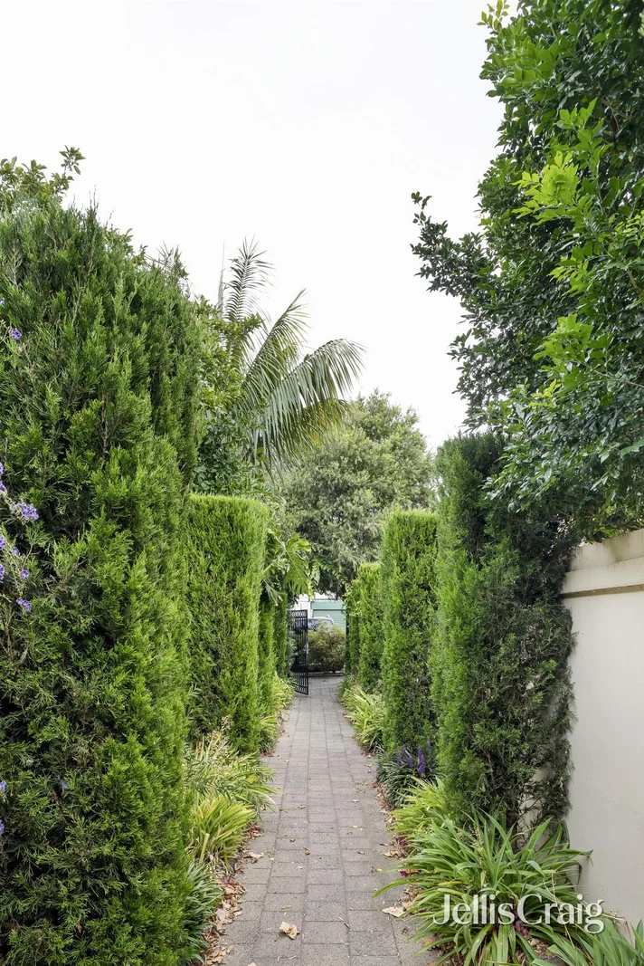 Image 13