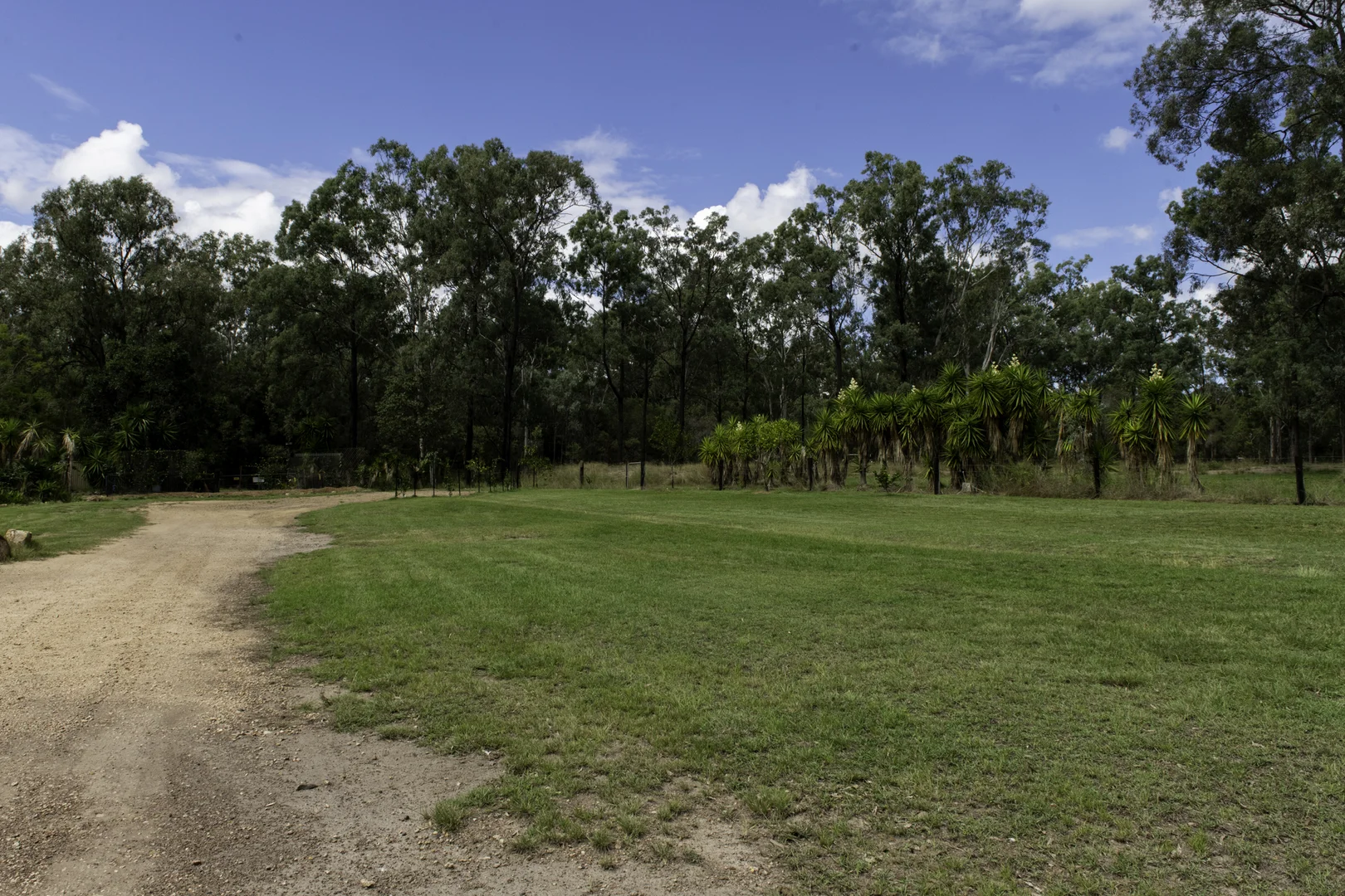 Image 31