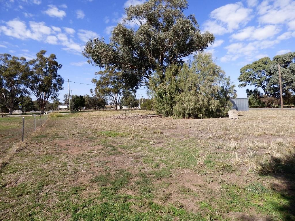 Turland Street, Illabo NSW 2590, Image 2