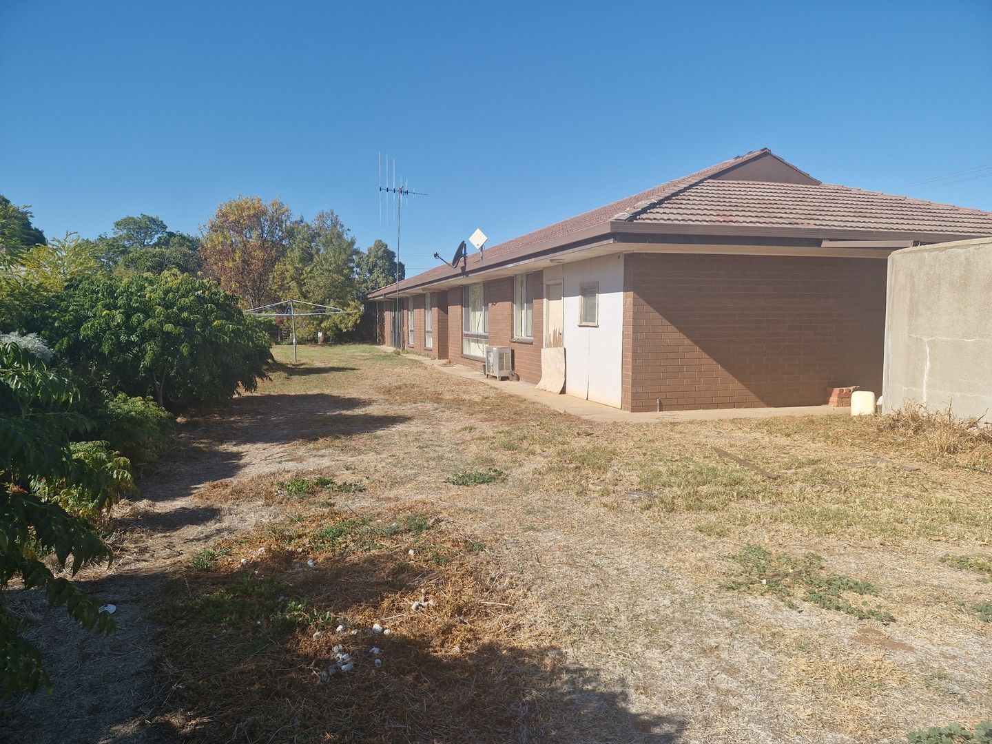 19 Barber Street, Pyramid Hill VIC 3575 Domain
