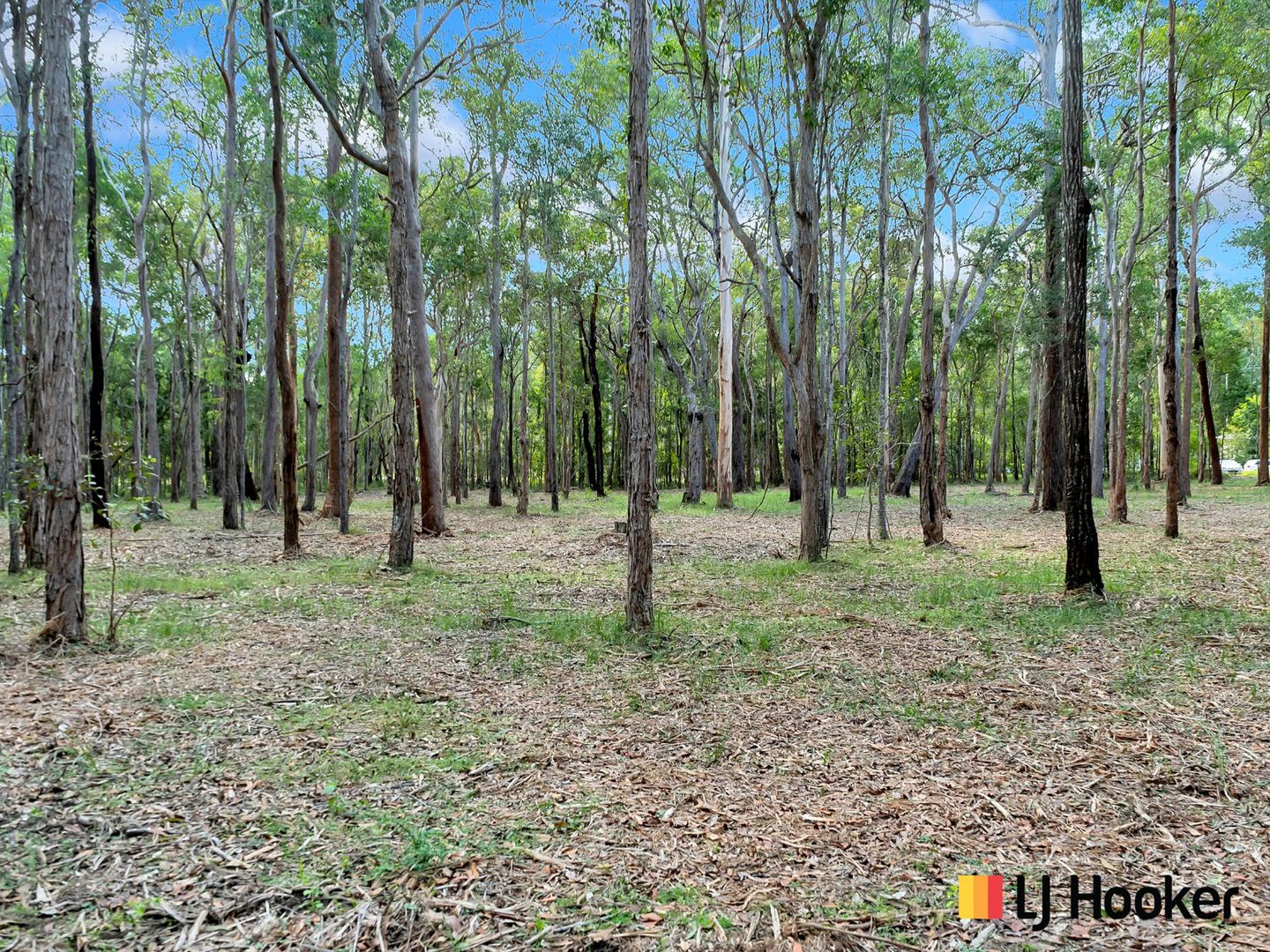 Lot 3 Gardiners Road, James Creek NSW 2463, Image 2