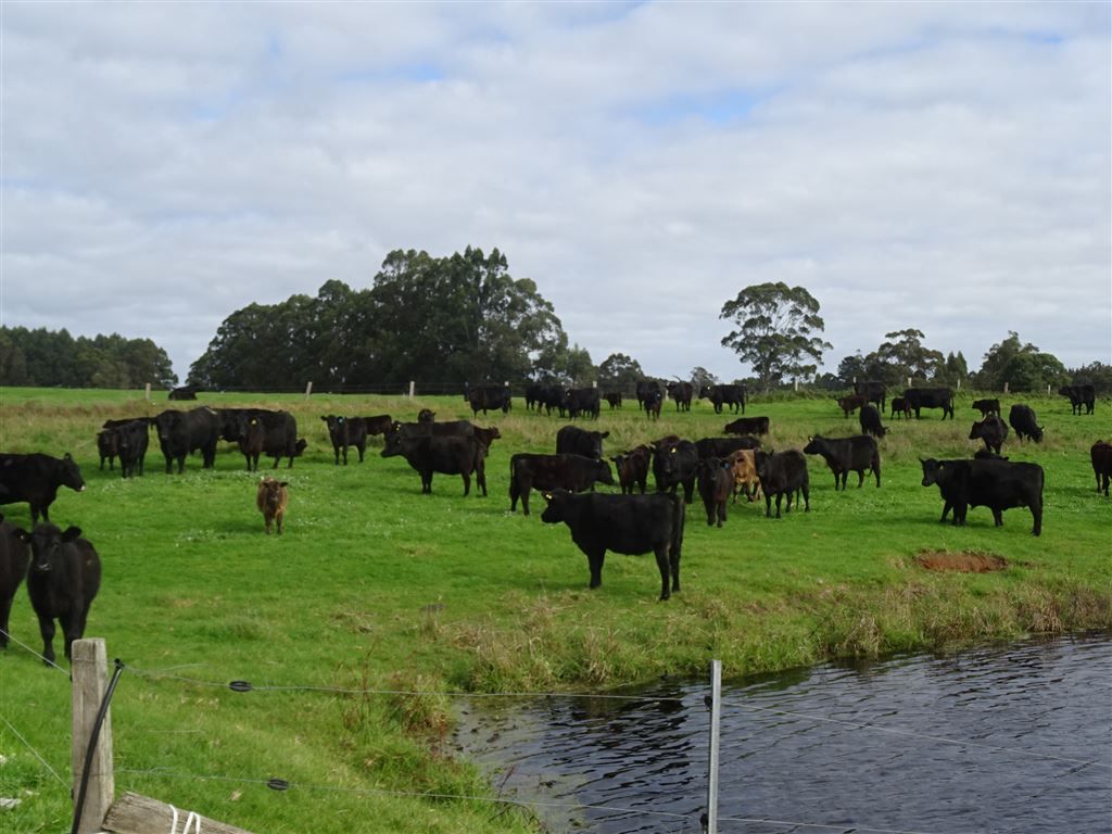 138 Double Bridges Road, Northcliffe WA 6262, Image 2