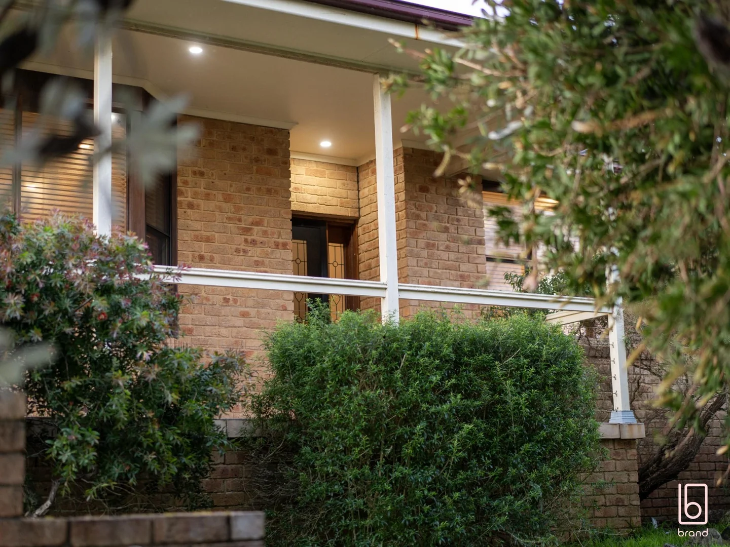 Image 12